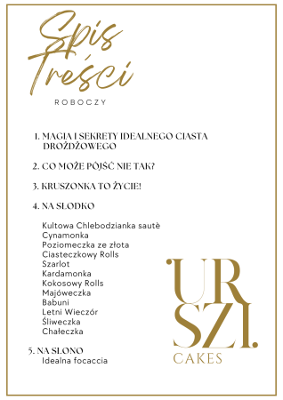 SPIS TREŚCI